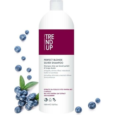 Trend up SILVER Šampon pro blond vlasy pro neutralizaci žlutých tónů oživení barvy 1000 ml