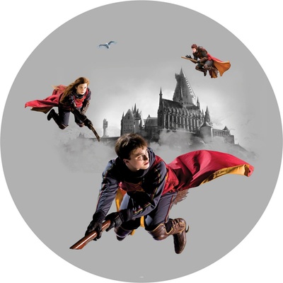 CRD5807 Samolepicí fototapeta Harry Potter rozměry 70 x 70 cm