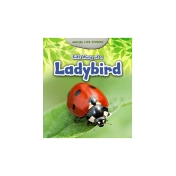 Life Story of a Ladybird - Guillain Charlotte