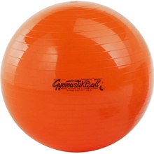 LEDRAGOMMA Physioball standard 120 cm