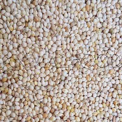 Deli Nature Proso bílé 4 kg