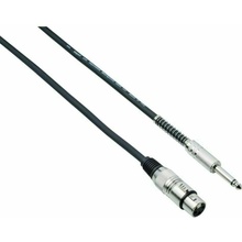 Bespeco IROMA 450