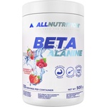 ALLNUTRITION Beta-Alanine Endurance MAX [500 грама] Ice Fresh