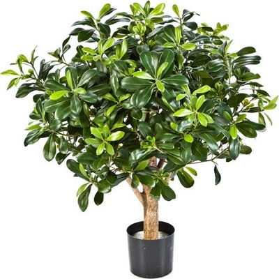 Umelý Pittiosporum ker deluxe, 65cm