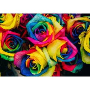 Grafika Art Puzzle - Puzzle Roses - 1 000 piese