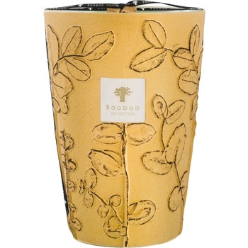 Baobab Collection Folia Garrigue Ароматна свещ 35 см (MAX35FGAR)