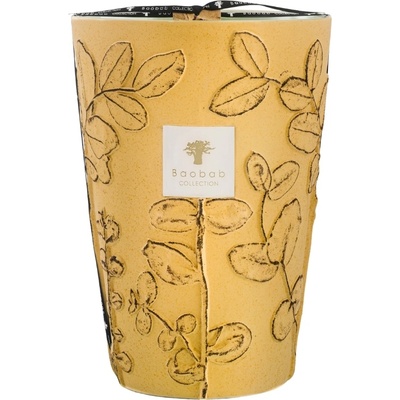 Baobab Collection Folia Garrigue Ароматна свещ 35 см (MAX35FGAR)