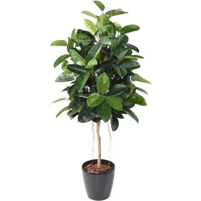 Luxusní umělý strom Ficus Elastica, 180cm