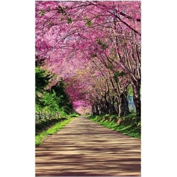 DIMEX ART s. r. o Флизелинов фототапет цъфтяща алея 150 x 250 см
