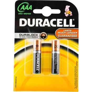 Duracell AAA Basic LR03 (2)