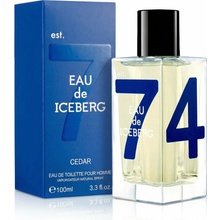 Iceberg Eau de Iceberg Cedar toaletná voda pánska 100 ml