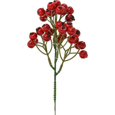 ZÁPICH ŠÍPKY ČERVENÉ 20cm /BAL.: 2ks/