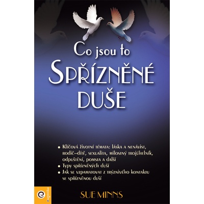 Co jsou to spřízněné duše - Jak pochopit dar výjimečných setkání - Sue Minns
