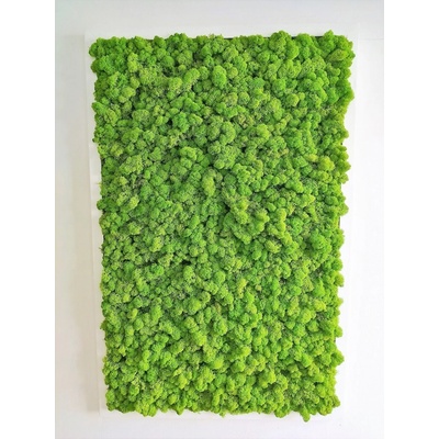Machový obraz v bielom ráme 100cm x 65cm