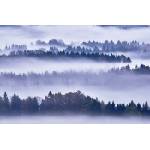 DIMEX ART Флизелинов фототапет мъгла и дървета 375 x 250 см