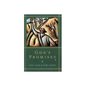 God's Promises for Your Every Need | Gill (ISBN: 9780849951305)
