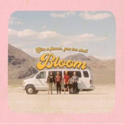 Bloom - Carpool Tunnel CD
