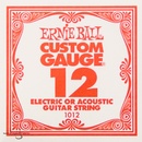 ERNIE BALL 1012