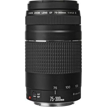 Canon EF 75-300mm f/4-5.6 III