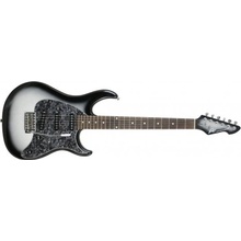 PEAVEY Raptor Custom Silverburst