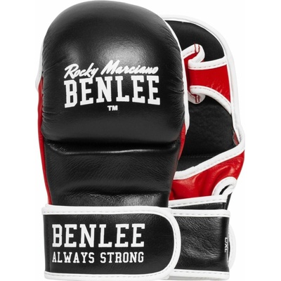 Ben Lee MMA Striker
