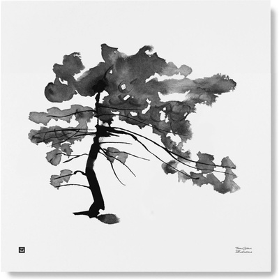 Plakát Pine Tree velký 50x50 cm Teemu Järvi Illustrations