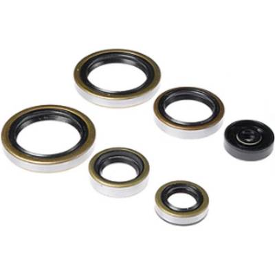 BEARING WORX sada těsnění motoru KTM EGS 125/200 98-99, EXC 125/200 98-06, EXE 125 00-01, SX 125 98-15, SX 144 07-08, SX 150 09-15, XC 150 10-14, MXC 200 98-03, SX 200 03-04, XC 200 06-09, XC-W 200 06