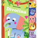 Divočina