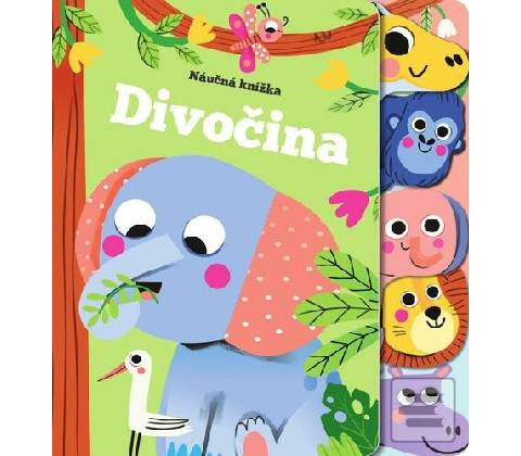 Divočina