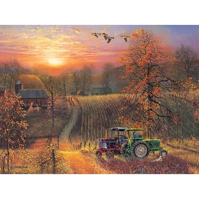 Cobble Hill - Puzzle Taking a Break - 275 piese