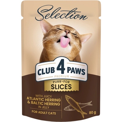 Club 4 Paws Premium Plus s atlantickým sleďom a baltským sleďom v želé 80 g