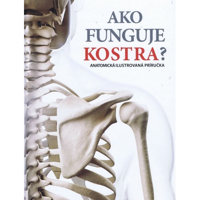 Ako funguje kostra?