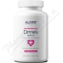 Vitex agnus castus Drmek obecný extrakt 2: 1 500 mg 90 kapslí