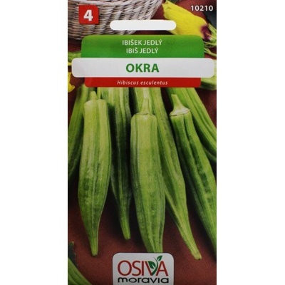 Okra Ibišek jedlý