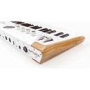 Image 1 of Arturia AstroLab 37