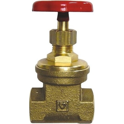 Geos agt Šoupátko uzavírací s plným průtokem DN 65 - 2"1/2 34 DN 65