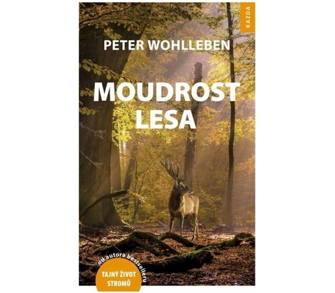 Moudrost lesa