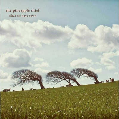 Pineapple Thief - What We Have Sown 2 LP