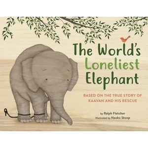 The World's Loneliest Elephant | Naoko Stoop (ISBN: 9780316364591)