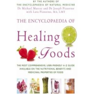 Encyclopaedia Of Healing Foods (ISBN: 9780749909710)
