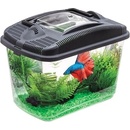 Aquael Betta Kit 3 l