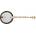 Deering Goodtime Two 5-String with Resonator