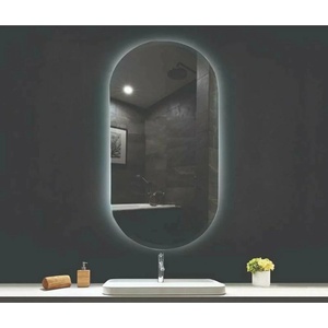 Fluminia Огледало с осветление и размразител Fluminia Dali Ambient 60 см (HN320L-60X90)