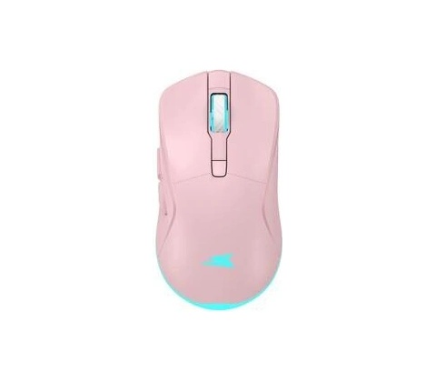 Baracuda TURTLE Pink BGM-124