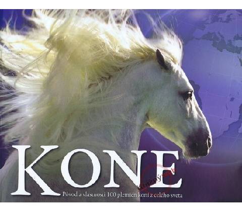 Kone Svojtka