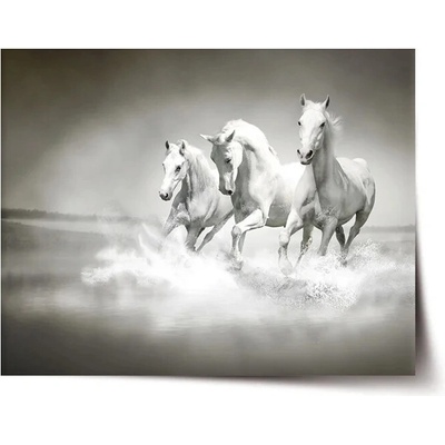 Sablio Plagát Biele kone - 60x40 cm