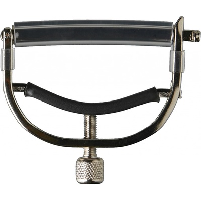 Taylor Capo 12-String