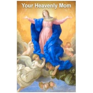Your Heavenly Mom | Fr Emil Neubert (ISBN: 9781470053154)
