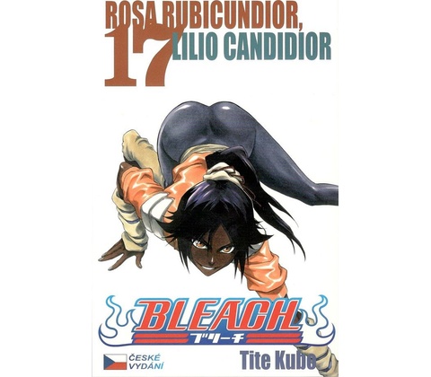 Bleach 17