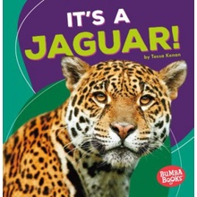 It's a Jaguar!